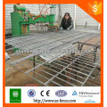 Anping shunxing clôture à double fil / clôture à double fil en Chine
